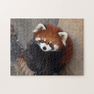 Puzzle de Panda rouge