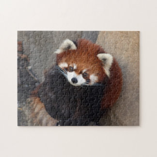 Puzzle de Panda rouge