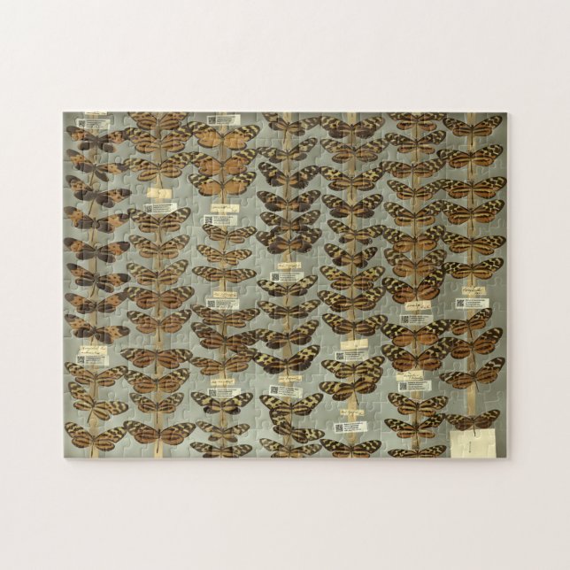 Puzzle de papillon (Horizontal)