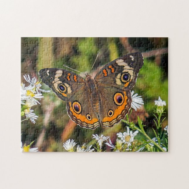 Puzzle de papillon commun (Horizontal)