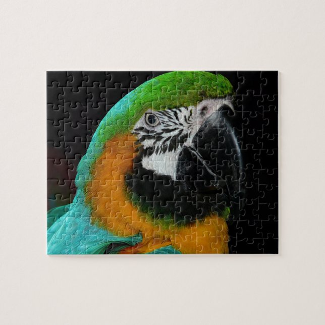 Puzzle de perroquet (Horizontal)
