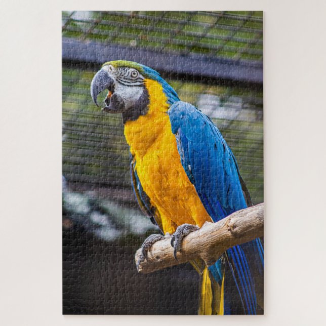 Puzzle de perroquet (Vertical)