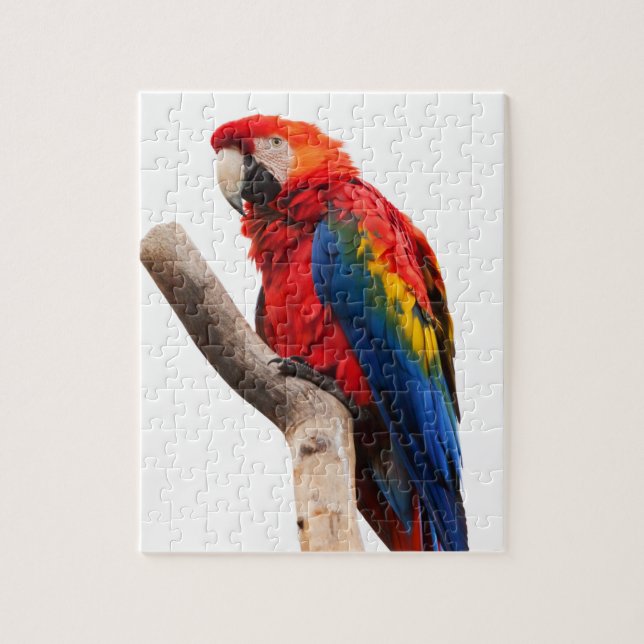 Puzzle de perroquet d'ara (Vertical)