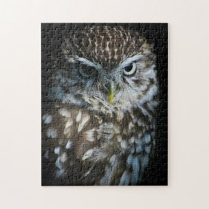 Puzzle de petit hibou