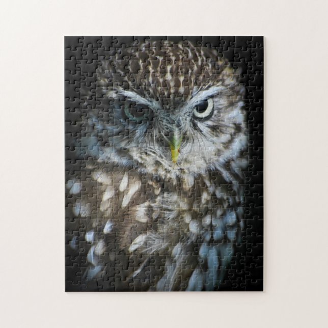 Puzzle de petit hibou (Vertical)