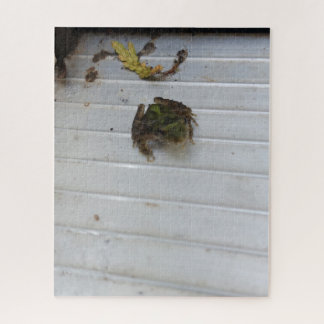 Puzzle de petite grenouille