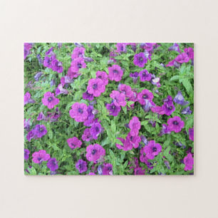 Puzzle de Petunias pourpre