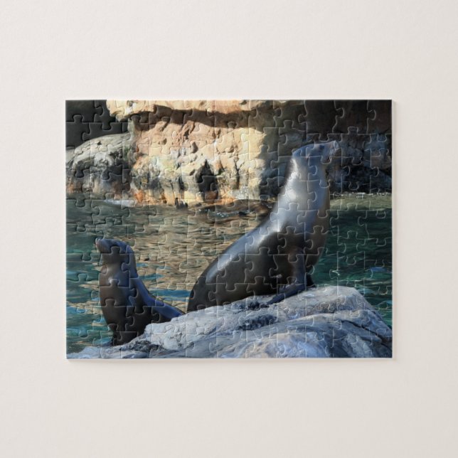 Puzzle de phoques (Horizontal)