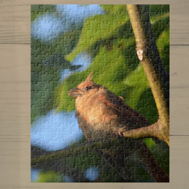 Puzzle de photo cardinal jeune bébé (Créateur téléchargé)