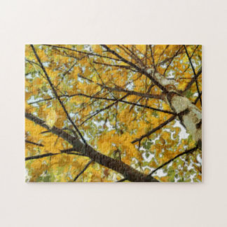 Puzzle de photo d'arbre de bouleau jaune d'automne