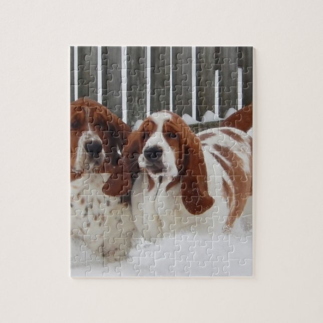 Puzzle de photo de Basset Hound 8x10 avec le  de (Vertical)