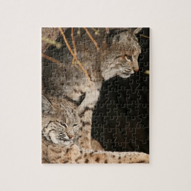 Puzzle de photo de chat sauvage (Vertical)