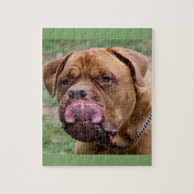 Puzzle de photo de Dogue de Bordeaux 8x10 (Vertical)