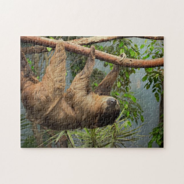 Puzzle de photo de paresse (Horizontal)