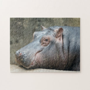 Puzzle de photo d'hippopotame