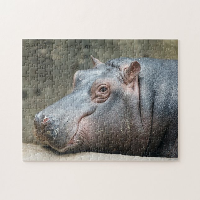Puzzle de photo d'hippopotame (Horizontal)