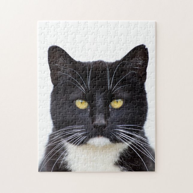 Puzzle de photo du chat 11x14 de smoking avec la (Vertical)