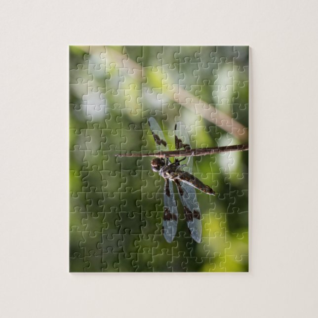 Puzzle de photographie de libellule (Vertical)