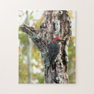 Puzzle de Pic Rouge