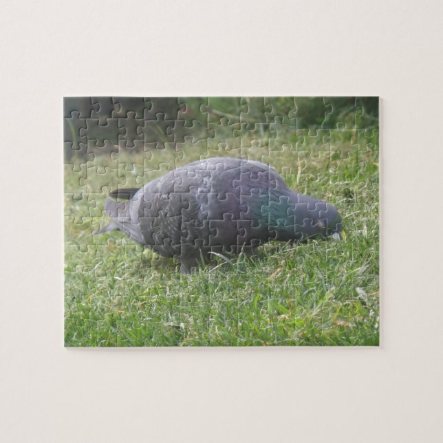 Puzzle de pigeon couchant (Horizontal)