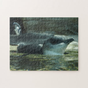 Puzzle de pingouin