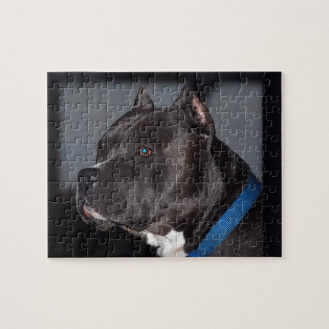 Puzzle de Pitbull (Horizontal)
