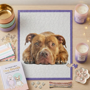 Puzzle de Pitbull en Pièces