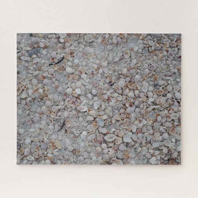 Puzzle de plage de coquillages de Côte du Golfe (Horizontal)