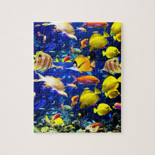 Puzzle de poisson