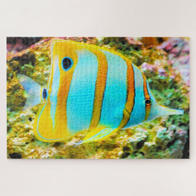 Puzzle de poisson tropical (Horizontal)