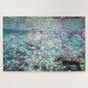 Puzzle de poisson tropical