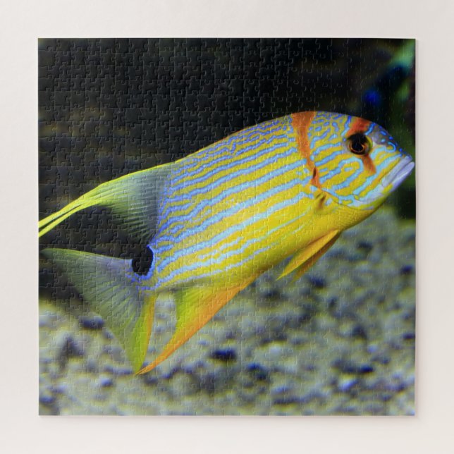 Puzzle de poisson tropical (Vertical)