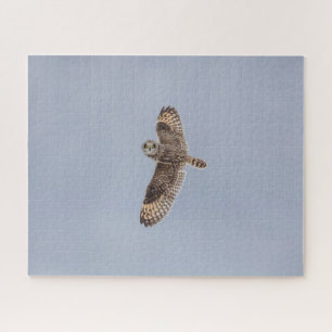 Puzzle de puzzle de hibou à courte portée