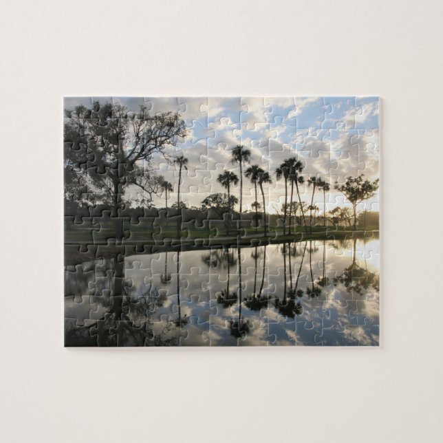 Puzzle de réflexion Palm Trees (Horizontal)