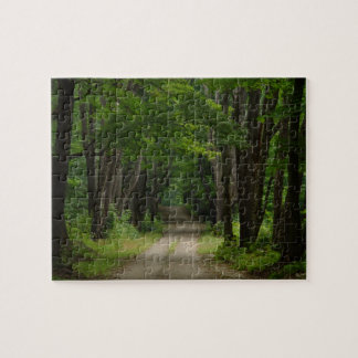 Puzzle de ruelle d'été