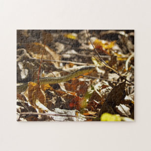Puzzle de serpent