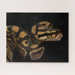 Puzzle de serpent difficile