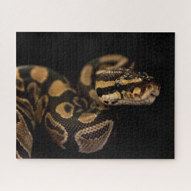 Puzzle de serpent difficile (Horizontal)