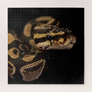 Puzzle de serpent extrêmement difficile