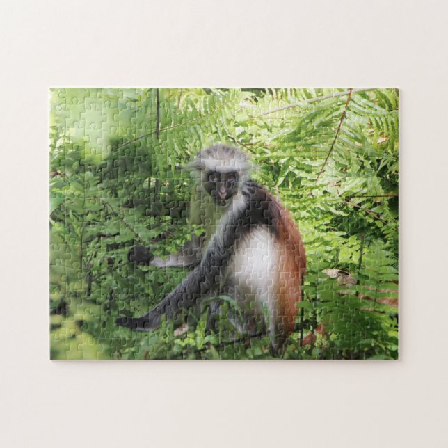 Puzzle de singe (Horizontal)