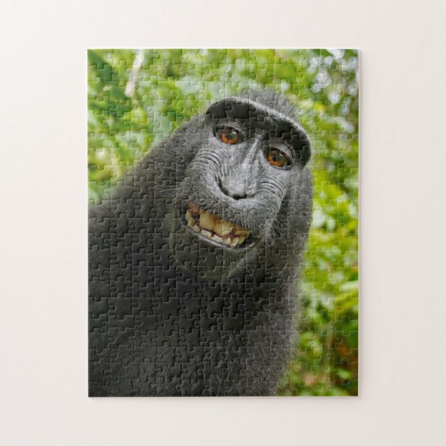 Puzzle de singe (Vertical)