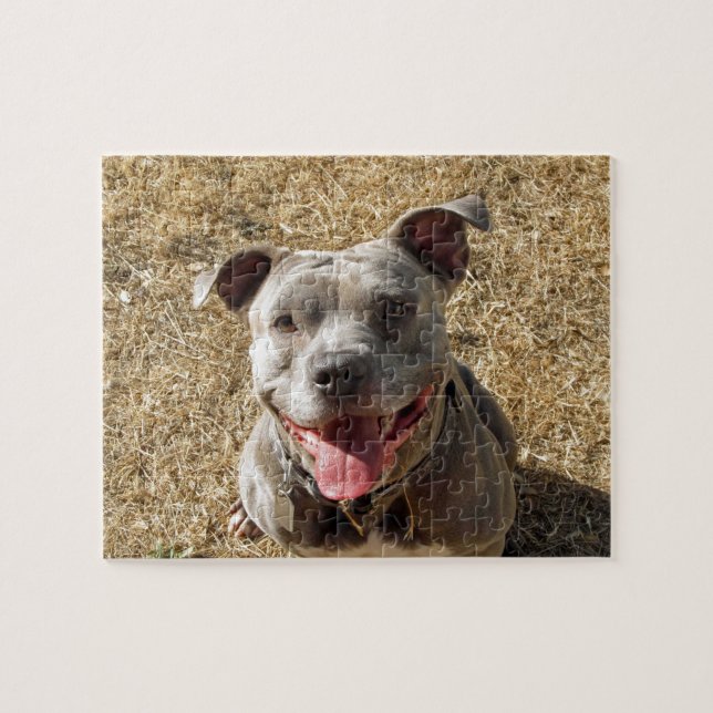Puzzle de sourire de Pitbull (Horizontal)