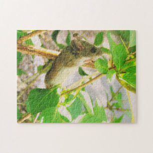 Puzzle de souris