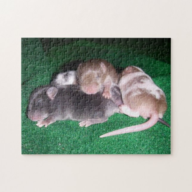 Puzzle de souris :  4 souris de bébé (Horizontal)