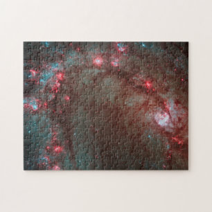 Puzzle de Southern Pinwheel