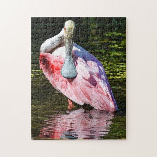 Puzzle de spatule rose (Vertical)