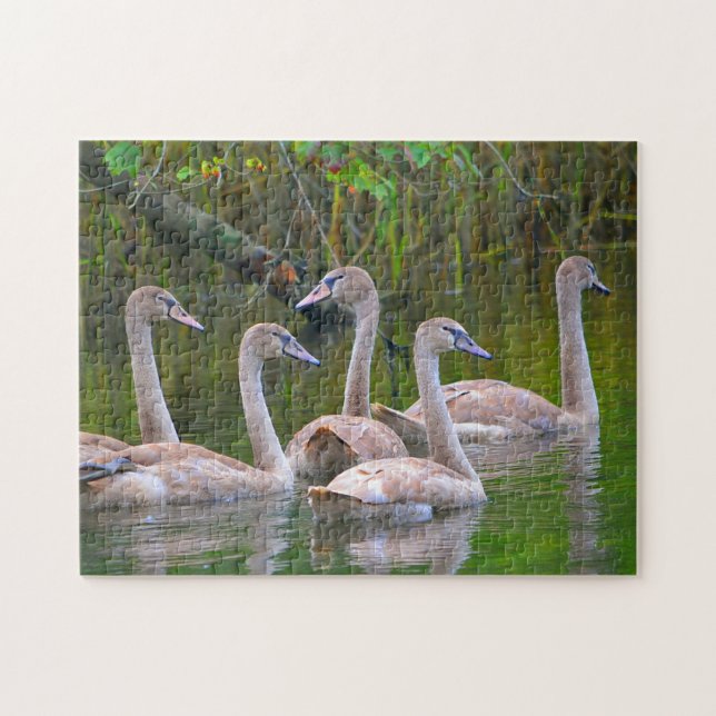Puzzle de Swan (Horizontal)