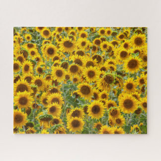Puzzle de terrain de tournesol