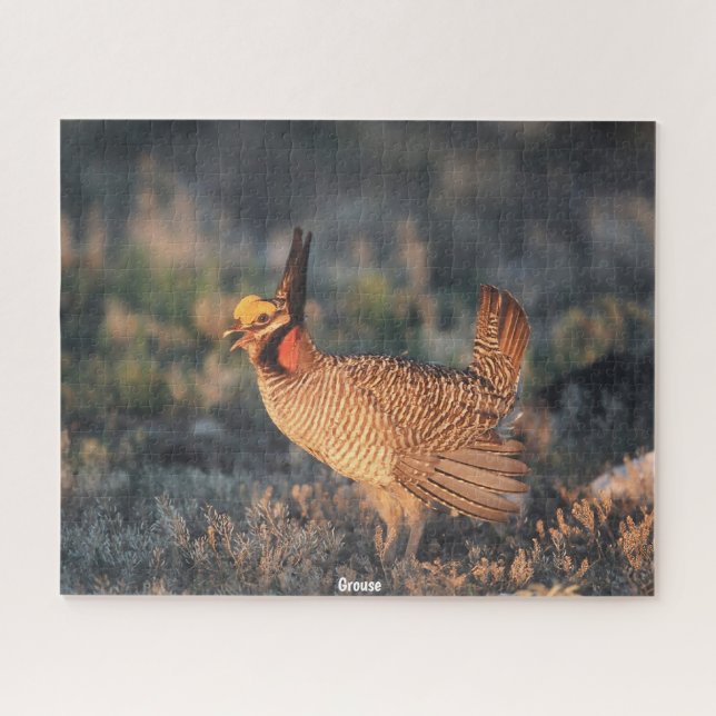 Puzzle de Tétras (Horizontal)