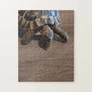 Puzzle de tortue en gros plan